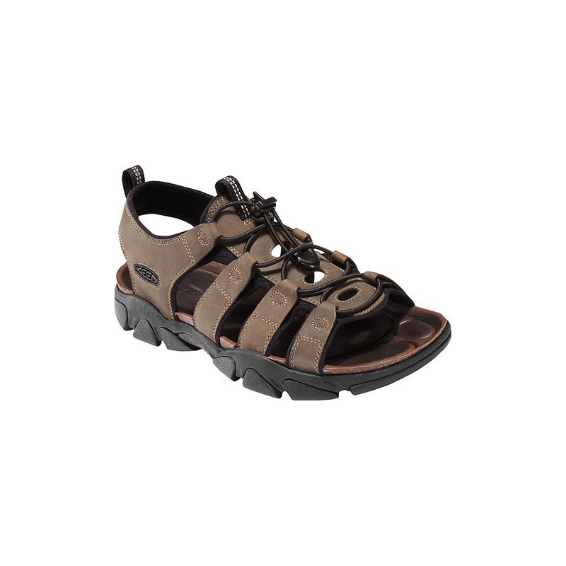 DAYTONA - BLACK OLIVE